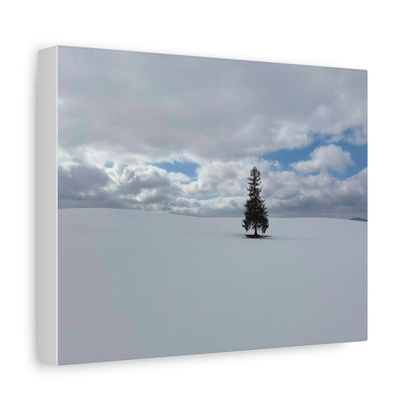 Load image into Gallery viewer, Minimal Winter Landscape Canvas – Solitary Tree in Snow Matte Stretched Canvas
