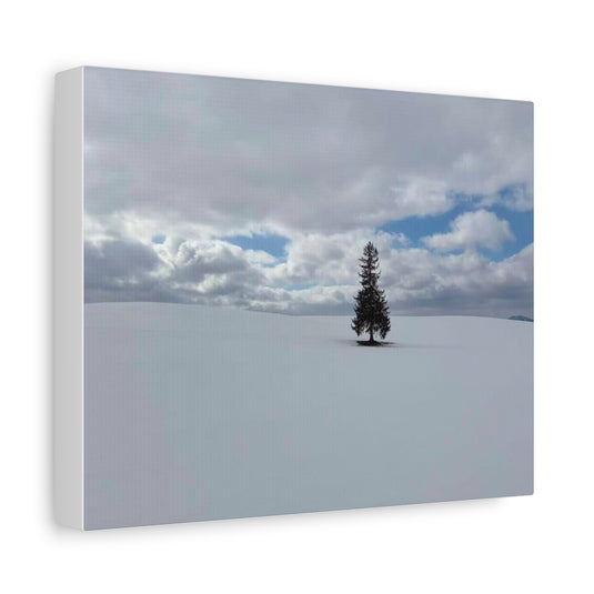 Minimal Winter Landscape Canvas – Solitary Tree in Snow Matte Stretched Canvas