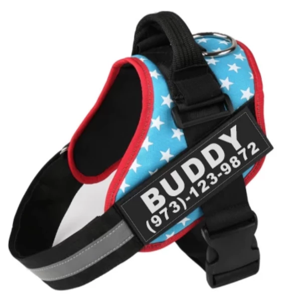 Load image into Gallery viewer, Personalized Custom Reflective Breathable Dog Harness NO PULL Adjustable Pet Harness For Small Large Dog Harness Vest With Patch
