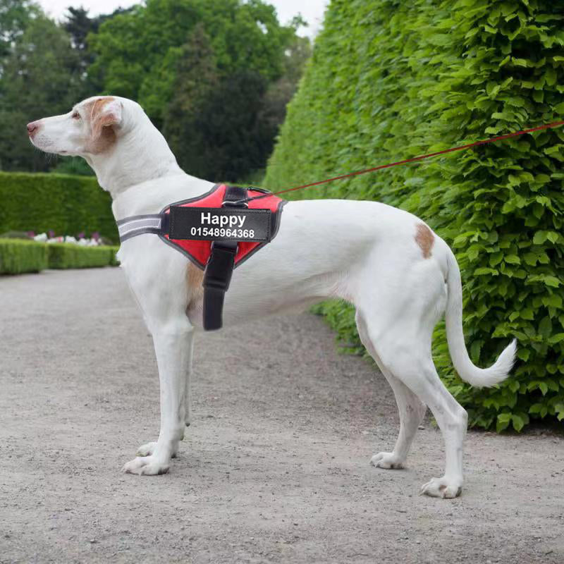 Load image into Gallery viewer, Personalized Custom Reflective Breathable Dog Harness NO PULL Adjustable Pet Harness For Small Large Dog Harness Vest With Patch
