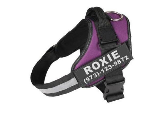 Load image into Gallery viewer, Personalized Custom Reflective Breathable Dog Harness NO PULL Adjustable Pet Harness For Small Large Dog Harness Vest With Patch
