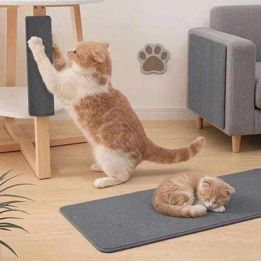 Anti Cat Scratch Mat Trimmable Self-Adhesive Carpet Couch Protector