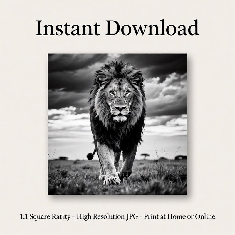 Load image into Gallery viewer, Lion Wall Art Printable Black White Photography Wildlife Masculine Decor Download
