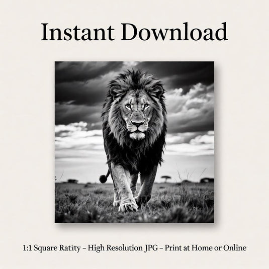 Lion Wall Art Printable Black White Photography Wildlife Masculine Decor Download