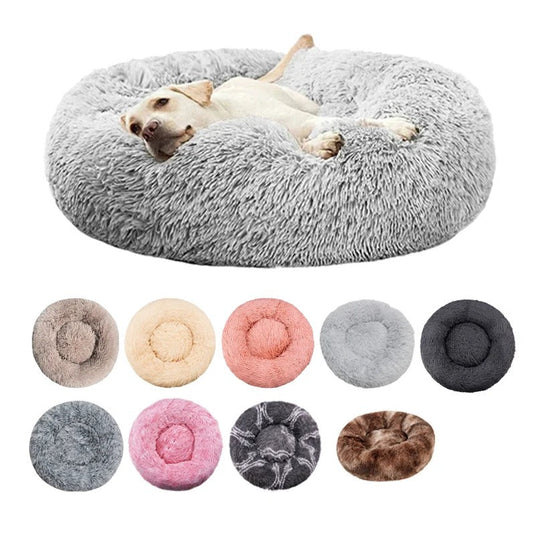 Pet starter bundle with calming bed, leash and grooming comb